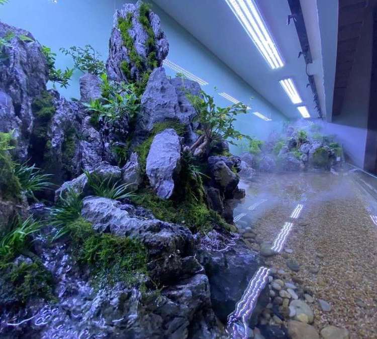 绿化养护-种植-庭院改造-园区绿地-草坪铺设-艺彤园艺约20.00元(3)