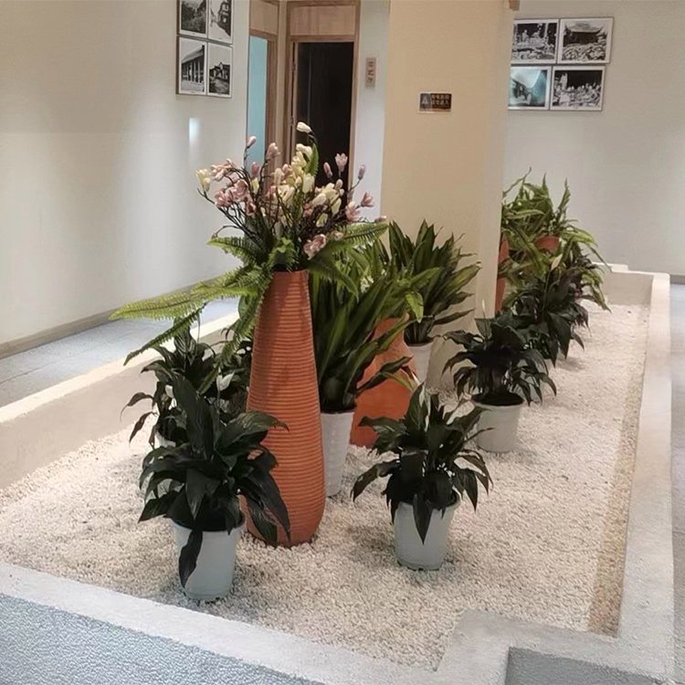 绿化养护 植物租赁 绿植租赁 净化空气 办公室大厅植物约0.50元(5)