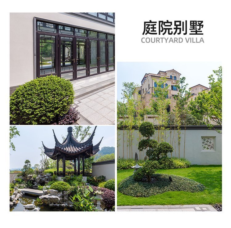 绿化养护 植物租赁 绿植租赁 净化空气 办公室大厅植物租摆约8.00元(10)