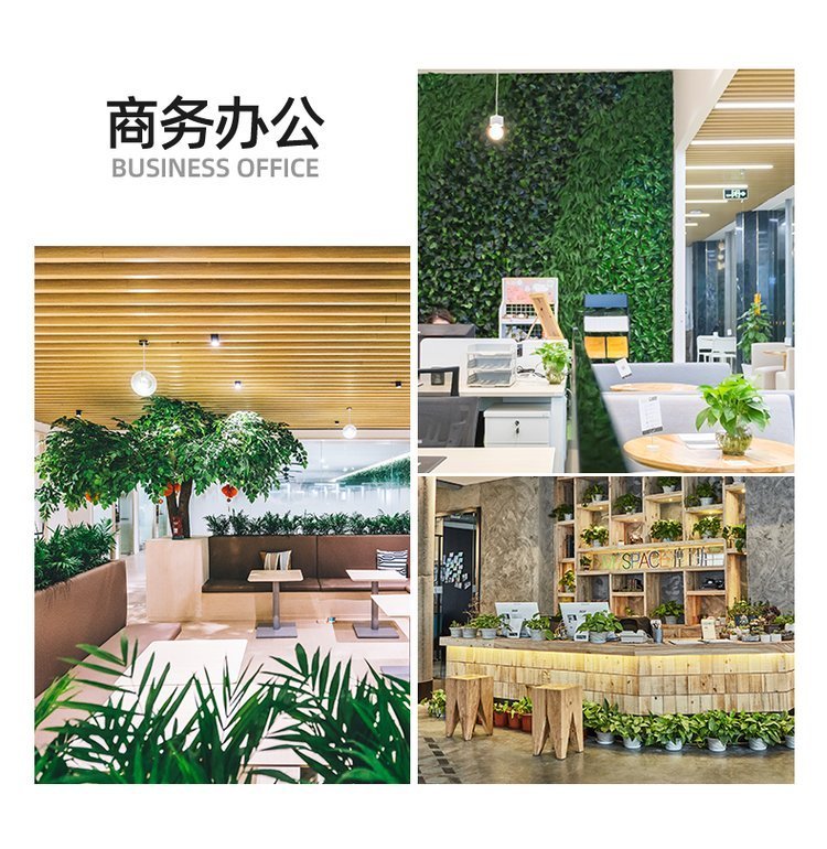 绿化养护 植物租赁 绿植租赁 净化空气 办公室大厅植物租摆约8.00元(6)