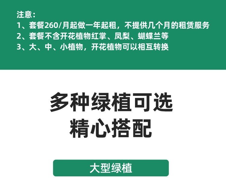 绿化养护 植物租赁 绿植租赁 净化空气 办公室大厅植物租摆约8.00元(7)