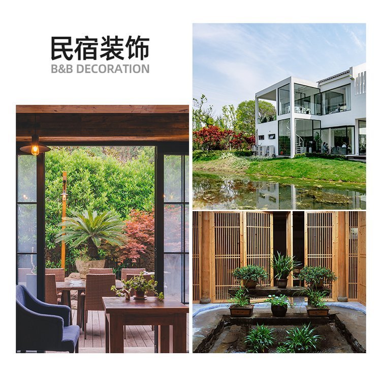 绿化养护 植物租赁 绿植租赁 净化空气 办公室大厅植物租摆约8.00元(8)