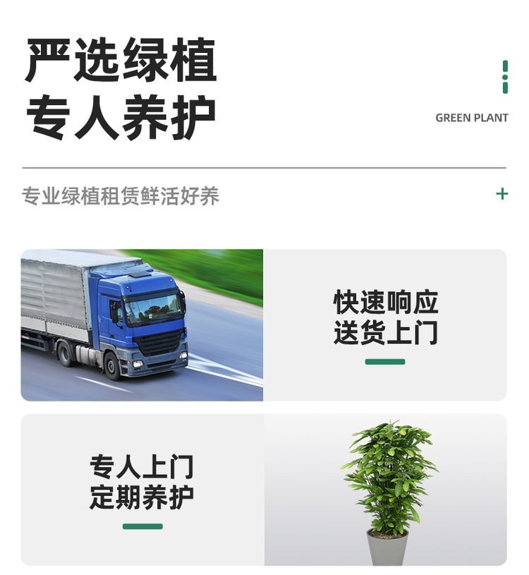 绿化养护 植物租赁 绿植租赁 净化空气 办公室大厅植物租摆约8.00元(9)