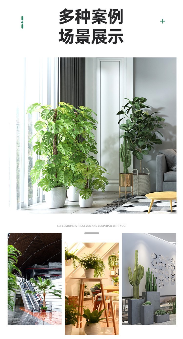 绿化养护 植物租赁 绿植租赁 净化空气 办公室大厅植物租摆约8.00元(17)