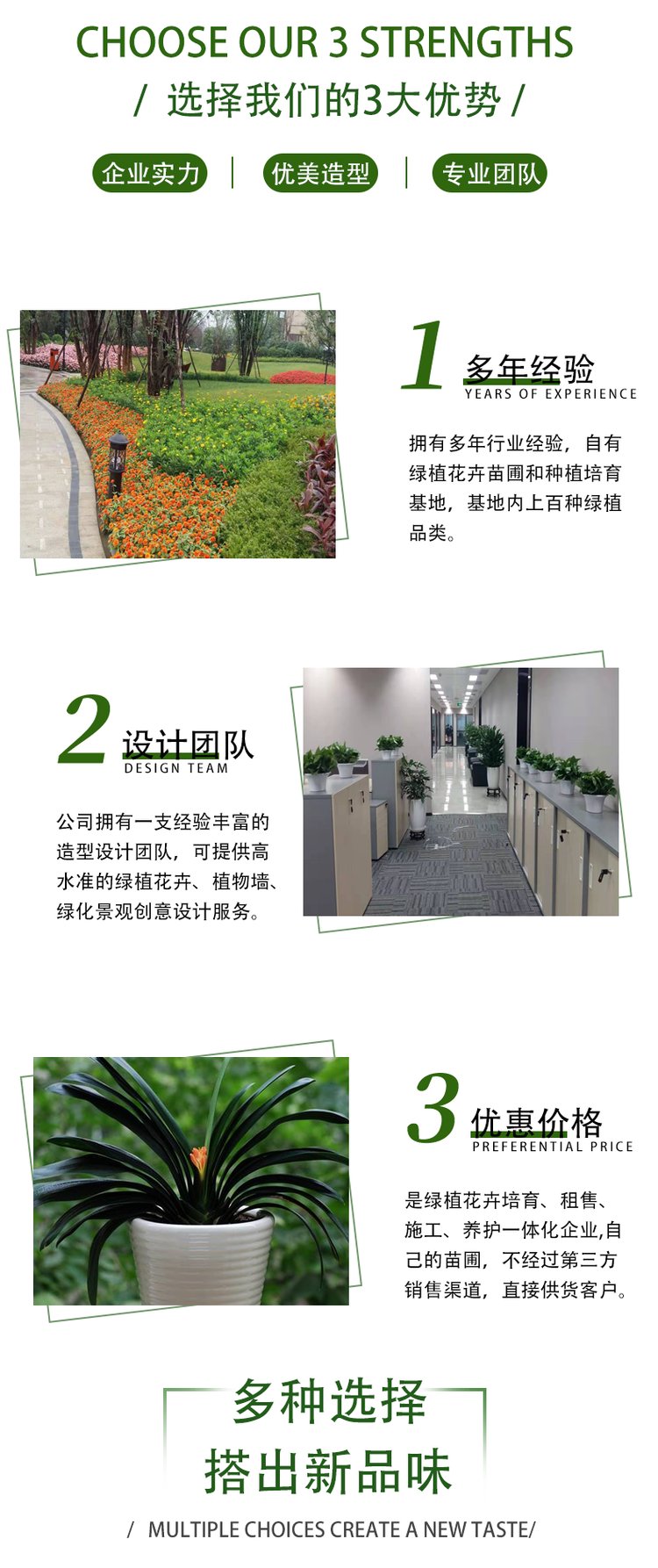 千绘园林 办公室公司盆栽绿植植物短租 一站式服务 工作环境更加舒适约0.11元,约0.08元,约0.05元(7)