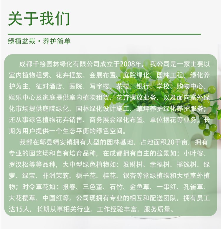 千绘园林 办公室公司盆栽绿植植物短租 一站式服务 工作环境更加舒适约0.11元,约0.08元,约0.05元(10)