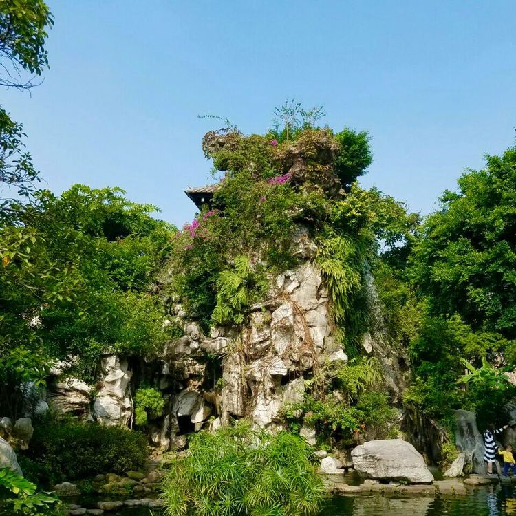 屋顶花园 商场园林工程一体化约2.00万元