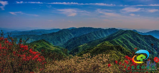 车八岭最高峰-天平架（束祖飞 摄）.jpg