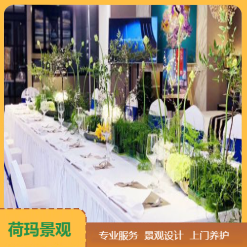 松江区绿植服务 普陀区绿植租赁 普陀区绿植租赁约20.00元,约10.00元,约4.00元