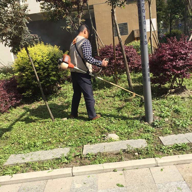 绿化养护 绿植喷药 修剪一站式服务 专业团队 造型优美 天堂鸟园林景观约15.00元(3)