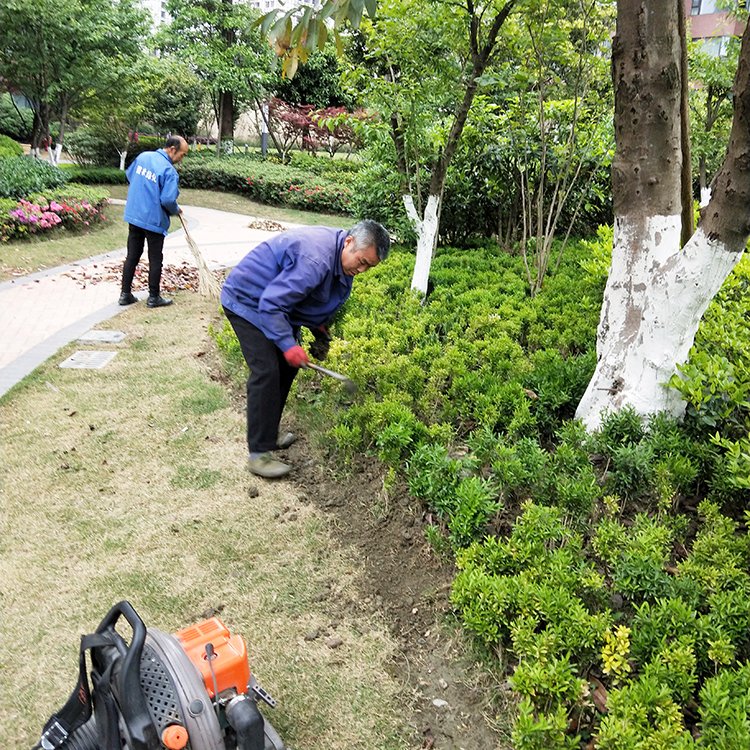 绿化养护 绿植喷药 修剪一站式服务 专业团队 造型优美 天堂鸟园林景观约15.00元(2)