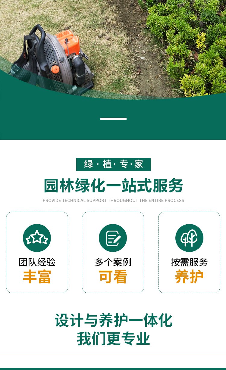 绿化养护 绿植喷药 修剪一站式服务 专业团队 造型优美 天堂鸟园林景观约15.00元(7)