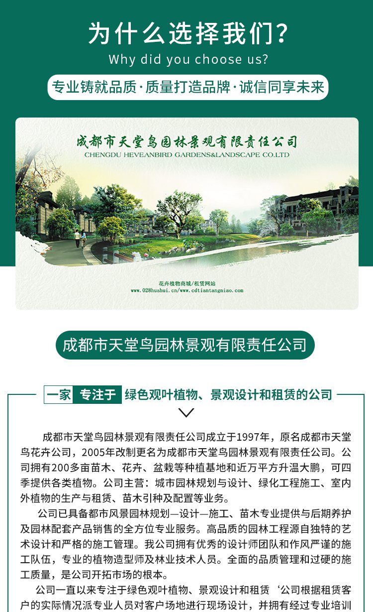 绿化养护 绿植喷药 修剪一站式服务 专业团队 造型优美 天堂鸟园林景观约15.00元(8)