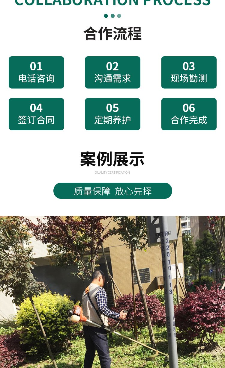 绿化养护 绿植喷药 修剪一站式服务 专业团队 造型优美 天堂鸟园林景观约15.00元(14)