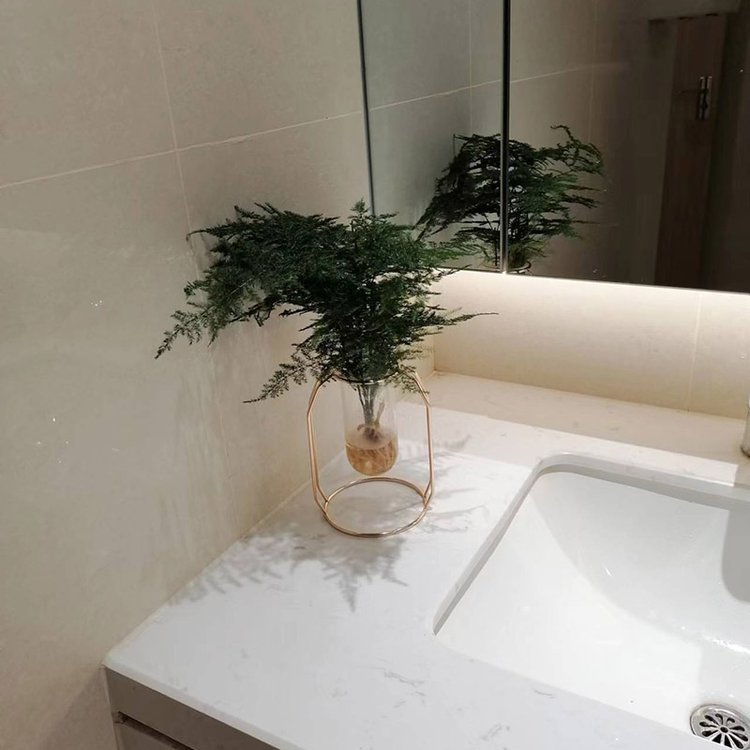 组合盆栽服务 支持绿植养护盆栽花卉租摆出售约0.16元