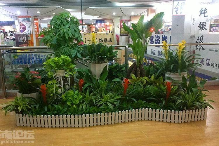 深圳南山绿植租摆服务价格计算约2.50元,约2.00元,约1.00元