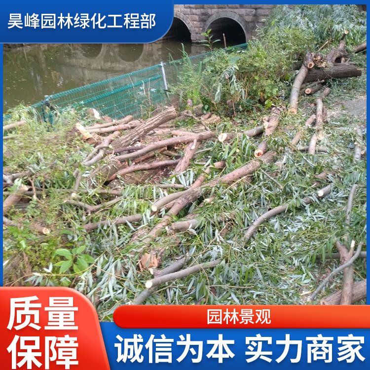 昊峰园林绿化工程 园林绿化专业伐树 修树 移树承接绿化工程约30.00元(4) 昊峰园林绿化工程 园林绿化专业伐树 修树 移树承接绿化工程约30.00元(4)