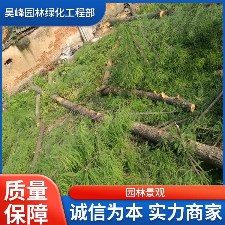昊峰园林绿化工程 园林绿化专业伐树 修树 移树承接绿化工程约30.00元(3) 昊峰园林绿化工程 园林绿化专业伐树 修树 移树承接绿化工程约30.00元(3)