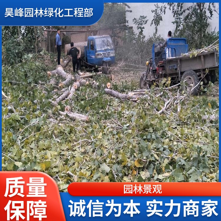 昊峰园林绿化工程 园林绿化专业伐树 修树 移树承接绿化工程约30.00元(2) 昊峰园林绿化工程 园林绿化专业伐树 修树 移树承接绿化工程约30.00元(2)