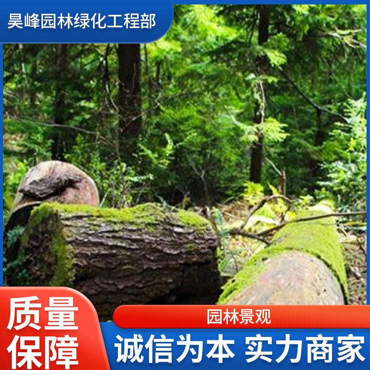 昊峰园林绿化工程 园林绿化专业伐树 修树 移树承接绿化工程约30.00元(5) 昊峰园林绿化工程 园林绿化专业伐树 修树 移树承接绿化工程约30.00元(5)