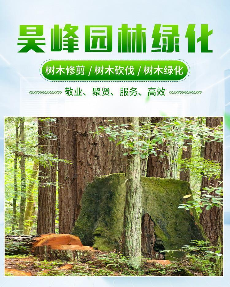 昊峰园林绿化工程 园林绿化专业伐树 修树 移树承接绿化工程约30.00元(6) 昊峰园林绿化工程 园林绿化专业伐树 修树 移树承接绿化工程约30.00元(6)