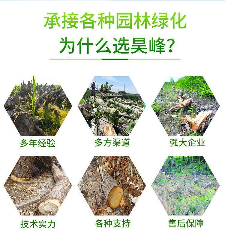 昊峰园林绿化工程 园林绿化专业伐树 修树 移树承接绿化工程约30.00元(7) 昊峰园林绿化工程 园林绿化专业伐树 修树 移树承接绿化工程约30.00元(7)