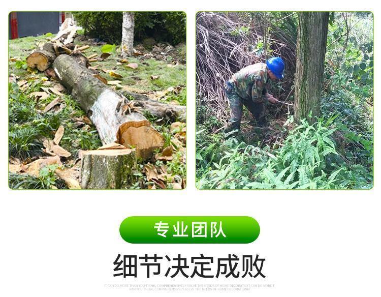 昊峰园林绿化工程 园林绿化专业伐树 修树 移树承接绿化工程约30.00元(10) 昊峰园林绿化工程 园林绿化专业伐树 修树 移树承接绿化工程约30.00元(10)