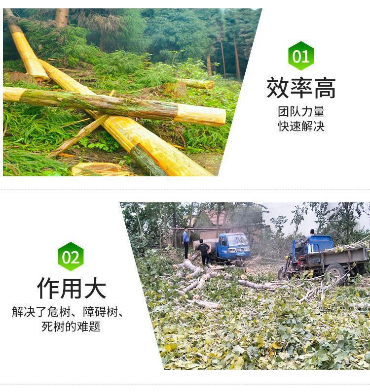 昊峰园林绿化工程 园林绿化专业伐树 修树 移树承接绿化工程约30.00元(11) 昊峰园林绿化工程 园林绿化专业伐树 修树 移树承接绿化工程约30.00元(11)