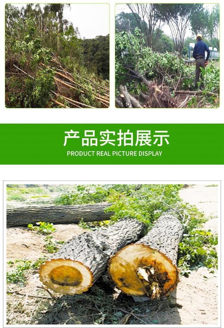 昊峰园林绿化工程 园林绿化专业伐树 修树 移树承接绿化工程约30.00元(14) 昊峰园林绿化工程 园林绿化专业伐树 修树 移树承接绿化工程约30.00元(14)