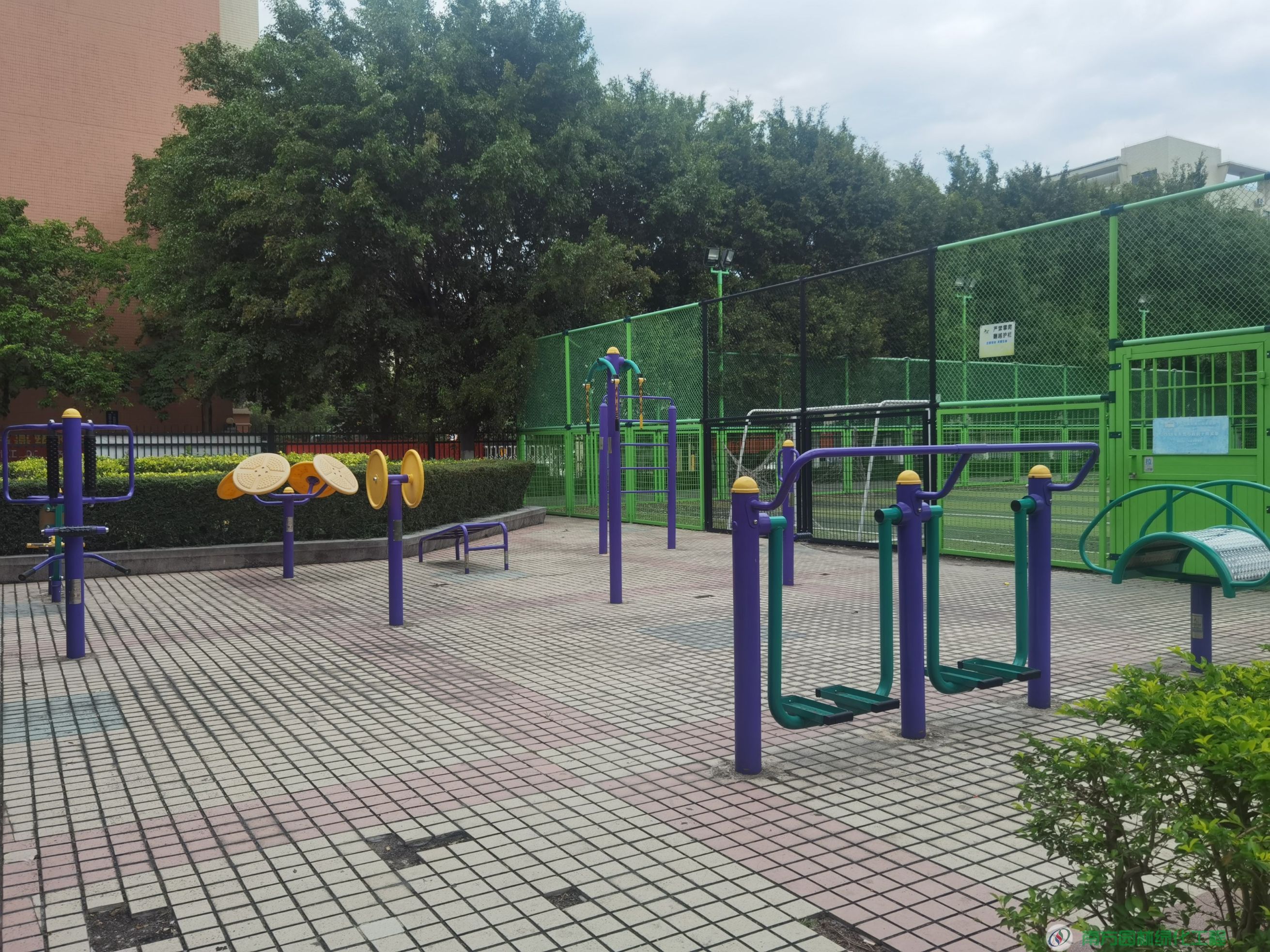 广东省东莞市东莞市区麻涌镇新基村村民委员会新基文化广场园林绿化与养护