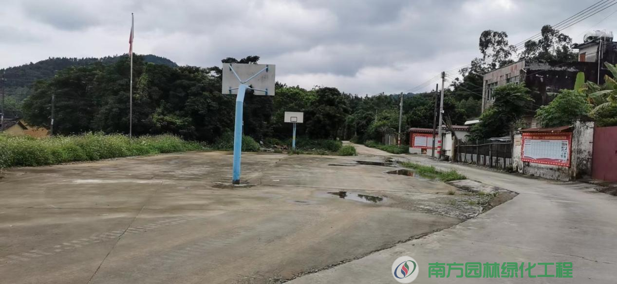 广东省阳江市阳东区大八镇新垌村委会村委会篮球场园林绿化与养护