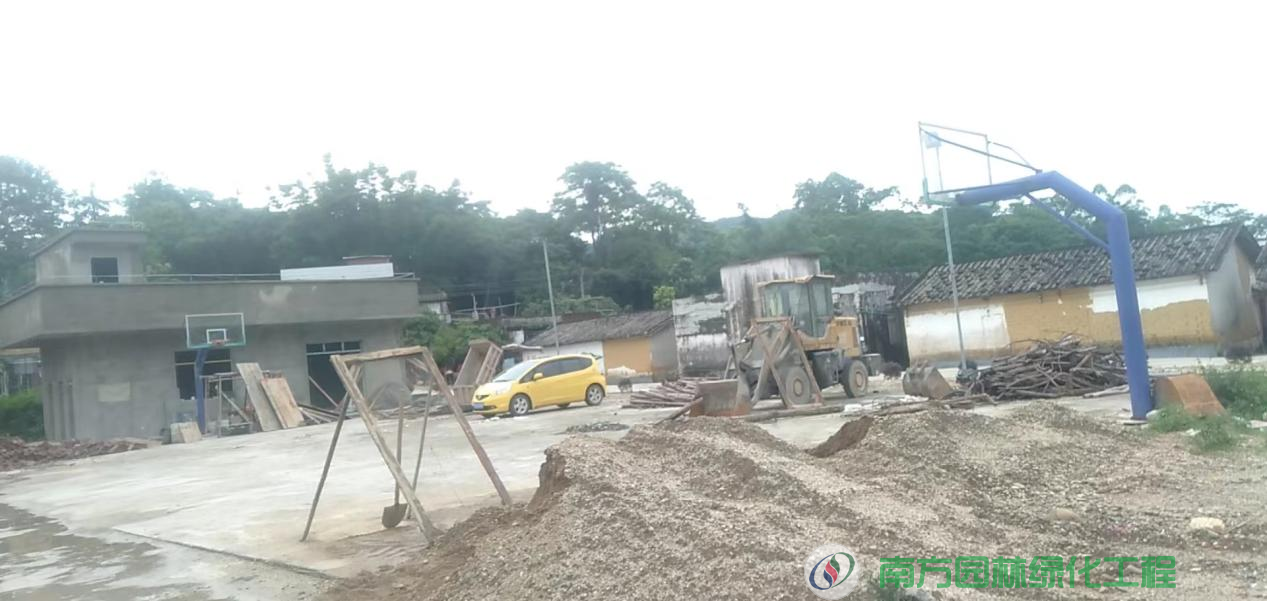 广东省阳江市阳东区大八镇珠环村委会大田基村篮球场园林绿化与养护